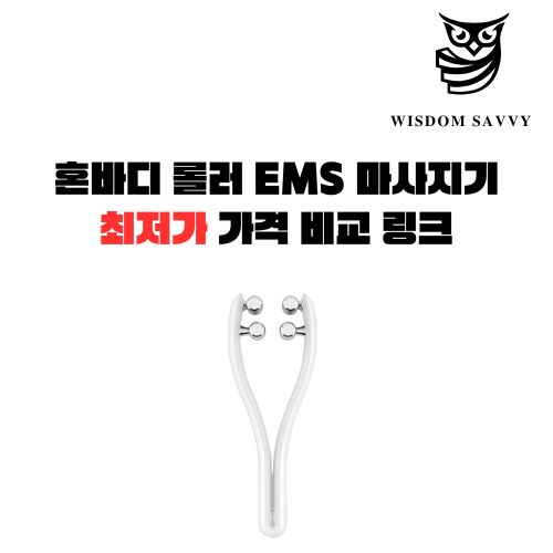 혼바디 롤러 EMS 마사지기