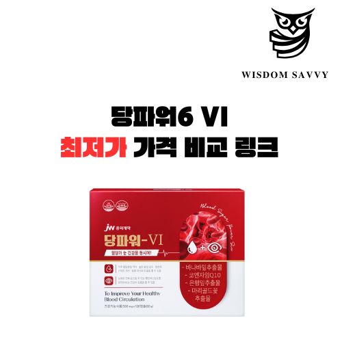 당파워6 VI