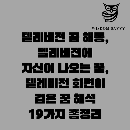 텔레비전 꿈 해몽