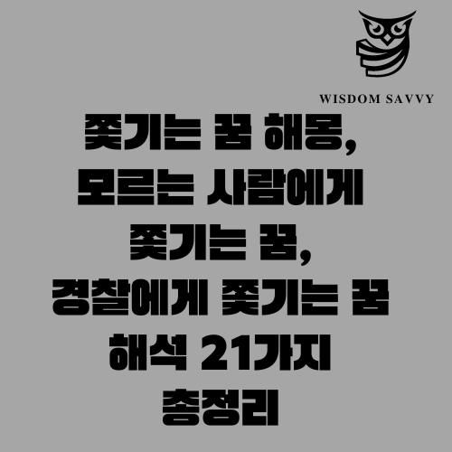 쫓기는 꿈 해몽