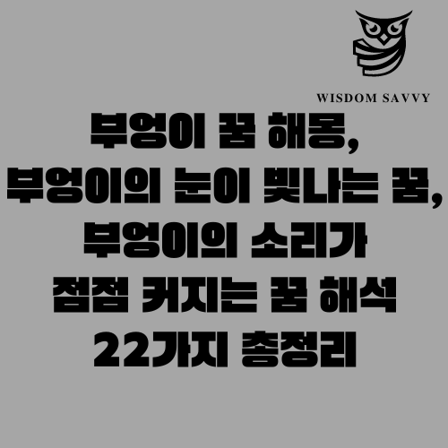 부엉이 꿈 해몽