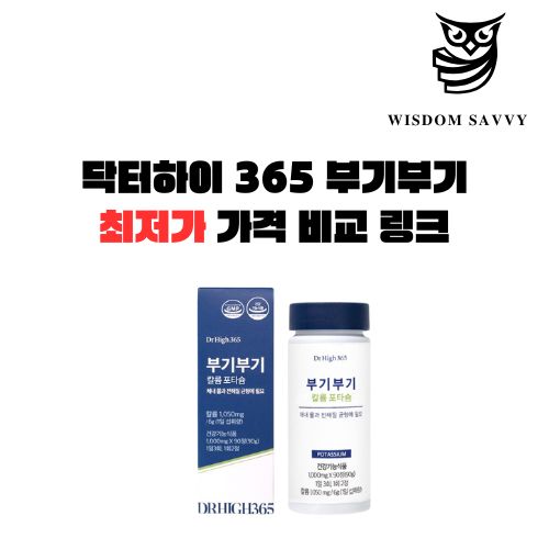 닥터하이 365 부기부기