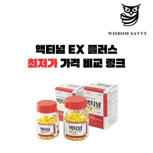 액티넘 EX 플러스