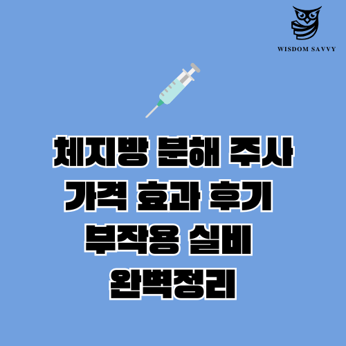 체지방 분해 주사