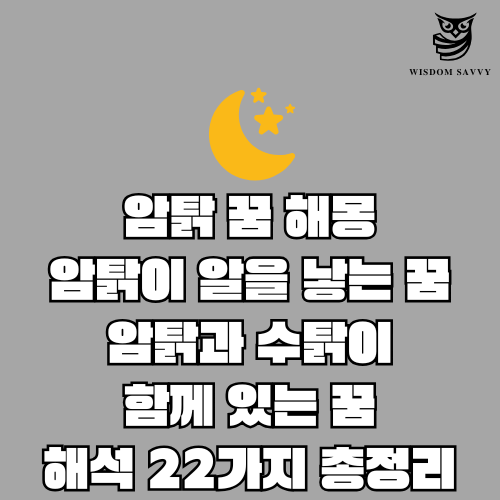 암탉 꿈 해몽