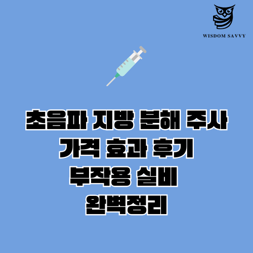 초음파 지방 분해 주사