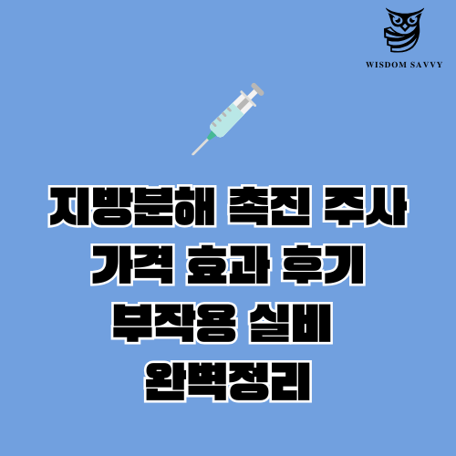 지방분해 촉진 주사