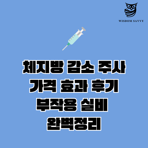 체지방 감소 주사