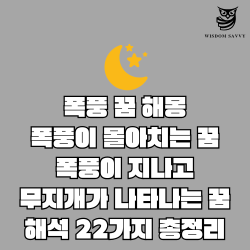 폭풍 꿈 해몽