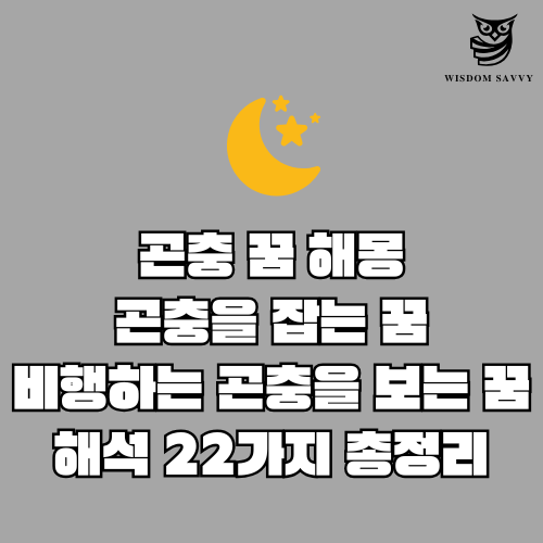 곤충 꿈 해몽