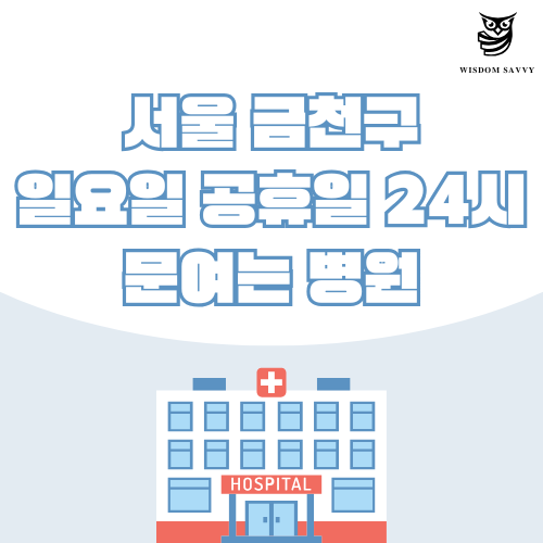 서울 금천구 일요일 문여는 병원