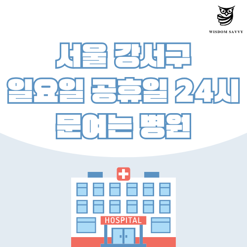 서울 강서구 일요일 문여는 병원, 서울 강서구 24시 피부과 정형외과 치과