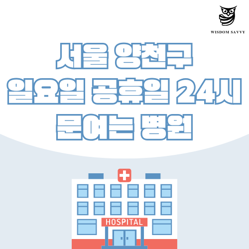 서울 양천구 일요일 문여는 병원