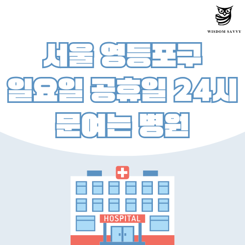 서울 영등포구 일요일 문여는 병원