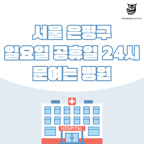 서울 은평구 일요일 문여는 병원