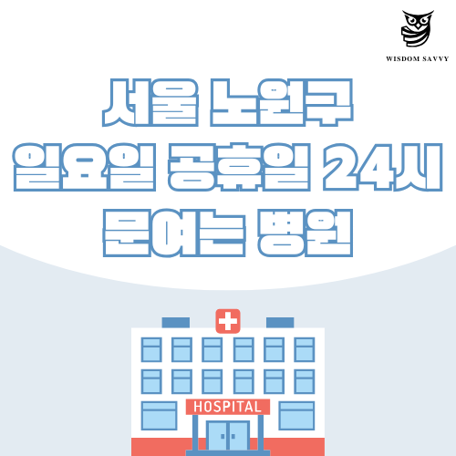 서울 노원구 일요일 문여는 병원