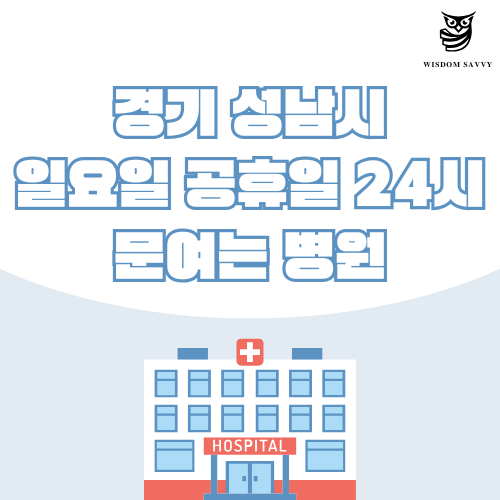 경기 성남시 일요일 문여는 병원