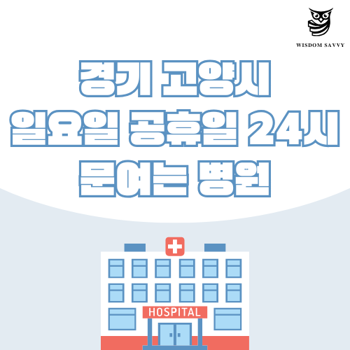 경기 고양시 일요일 문여는 병원