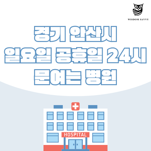 경기 안산시 일요일 문여는 병원