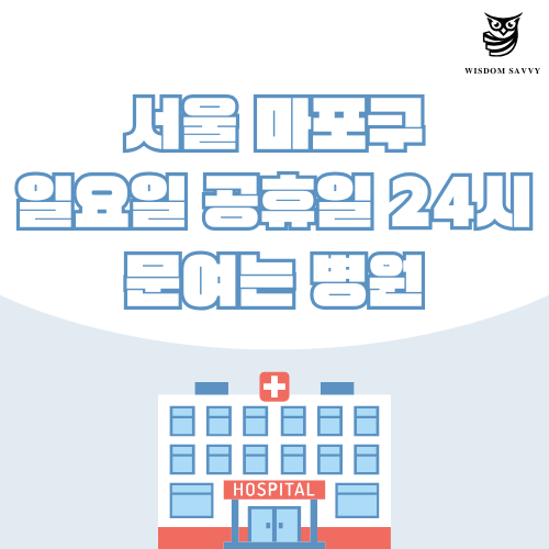 서울 마포구 일요일 문여는 병원