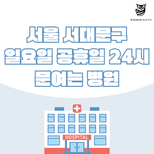 서울 서대문구 일요일 문여는 병원