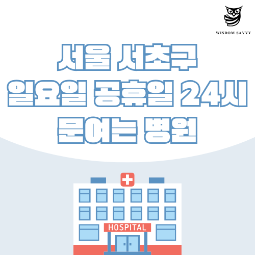 서울 서초구 일요일 문여는 병원