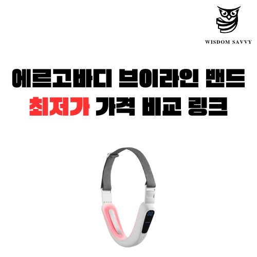 에르고바디 브이라인 밴드