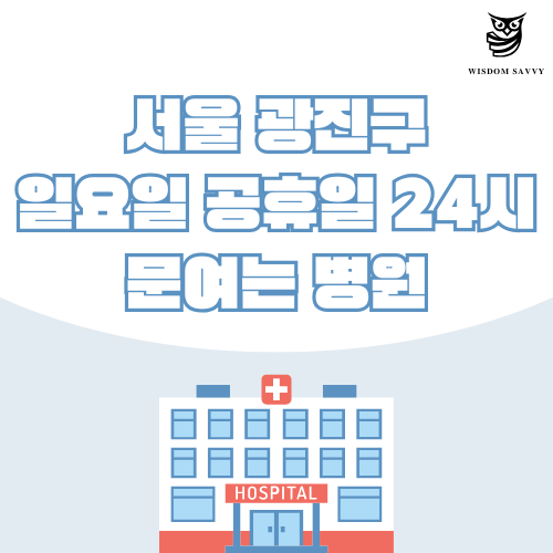 서울 광진구 일요일 문여는 병원