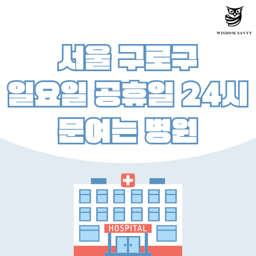 서울 구로구 일요일 문여는 병원