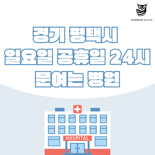 경기 평택시 일요일 문여는 병원