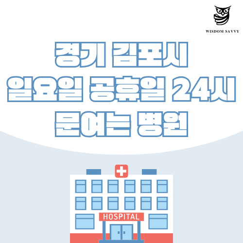 경기 김포시 일요일 문여는 병원