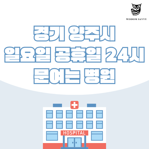 경기 양주시 일요일 문여는 병원