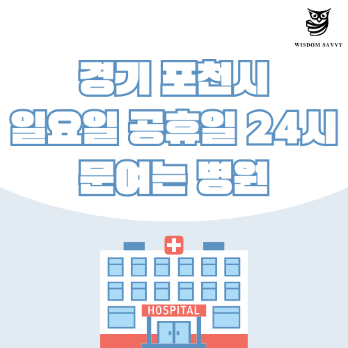 경기 포천시 일요일 문여는 병원
