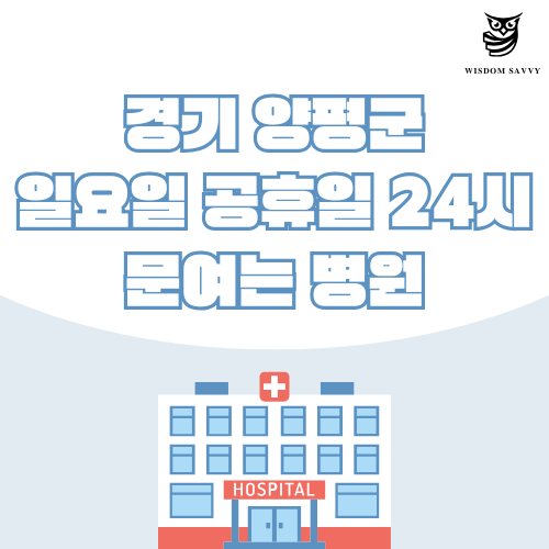 경기 양평군 일요일 문여는 병원