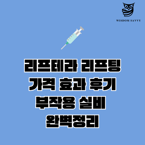 리프테라 리프팅