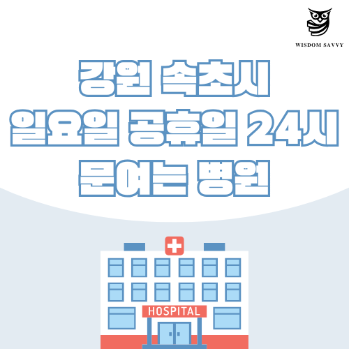 강원 속초시 일요일 문여는 병원