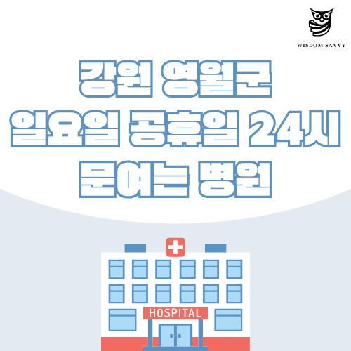 강원 영월군 일요일 문여는 병원
