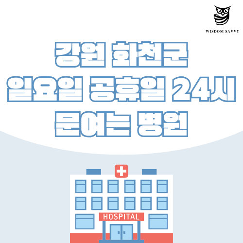 강원 화천군 일요일 문여는 병원