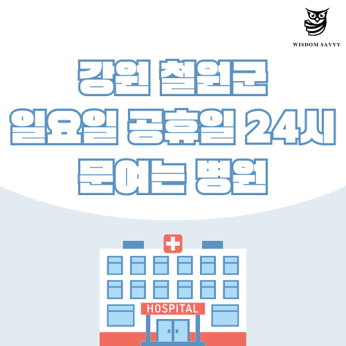 강원 철원군 일요일 문여는 병원