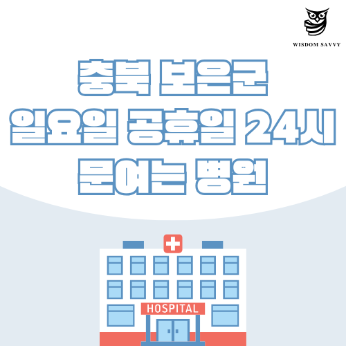 충북 보은군 일요일 문여는 병원