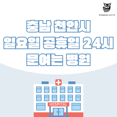 충남 천안시 일요일 문여는 병원