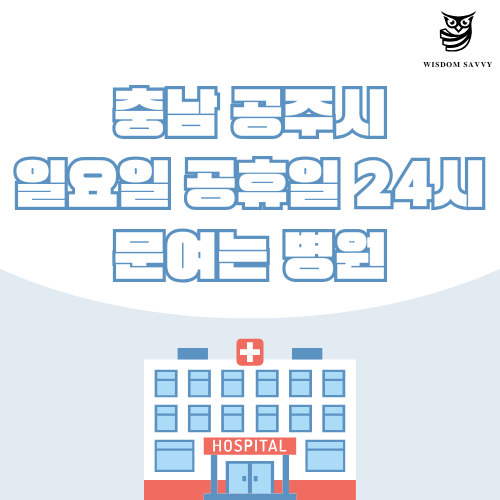 충남 공주시 일요일 문여는 병원